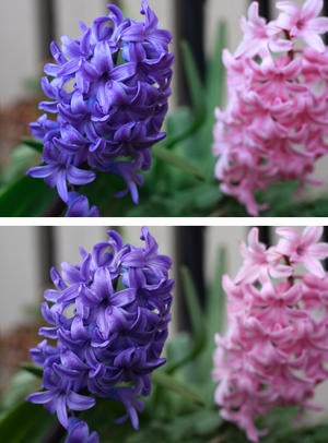 photofileformat 1