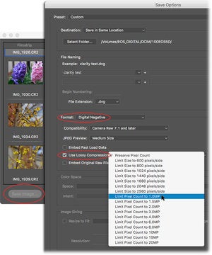photofileformat 4