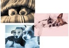 The secret to producing subtle photographic color effects in Photoshop