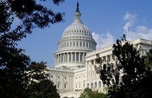 No Congressional background check for IT contractor charged with fraud