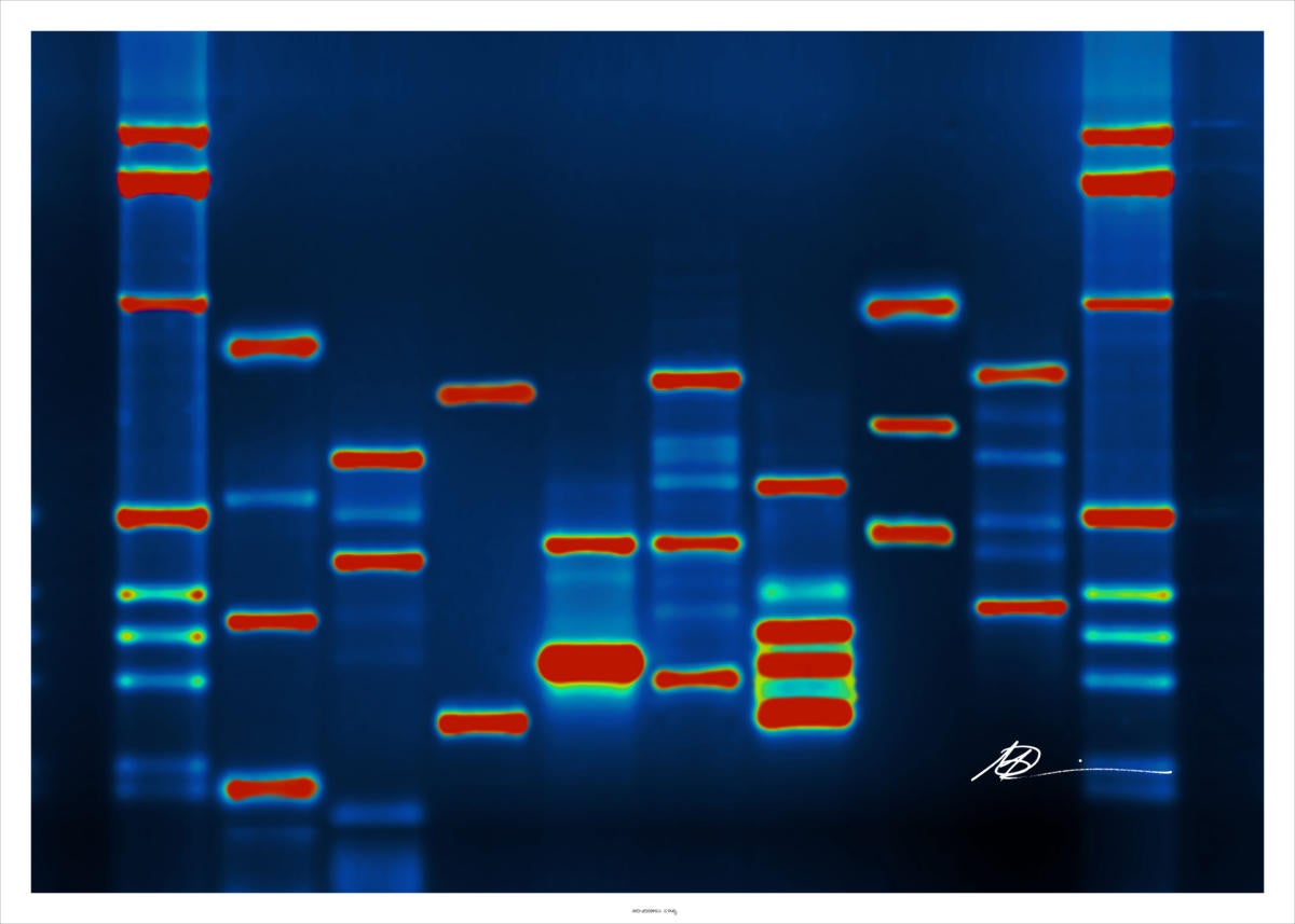 Microsoft is making big data really small using DNA | Computerworld