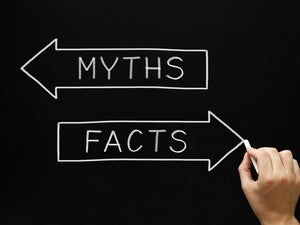 It's a world wide web of lies (but facts strike back)