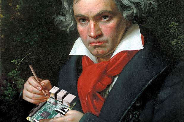 ludwig van raspberry