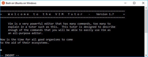 vim