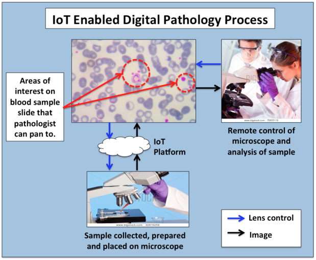 Pathology IoT SkilledAnalysts.com