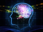 Is psychometric testing perfect for IT?