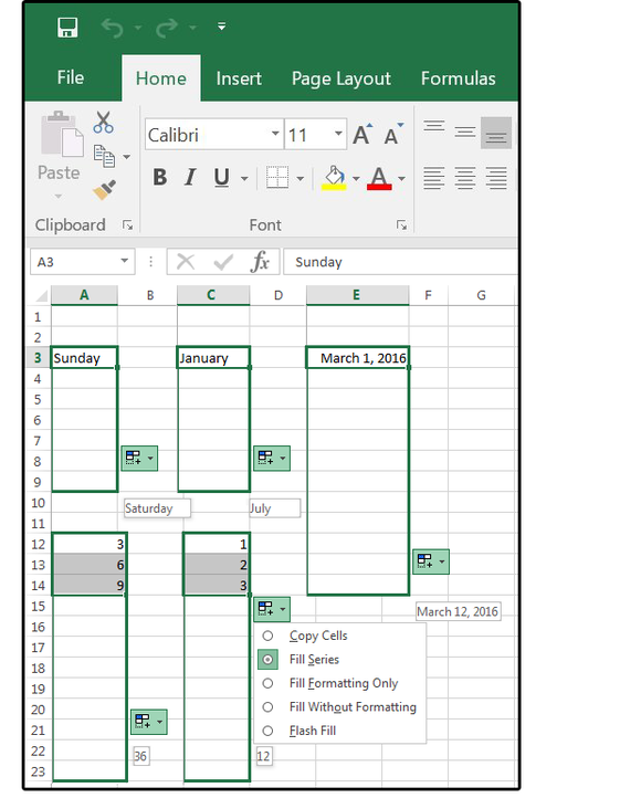 05 use autofill to automatically enter items in a series