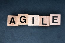 Mastering the domain with agile business models