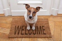 How to ensure your new employee has a great first day