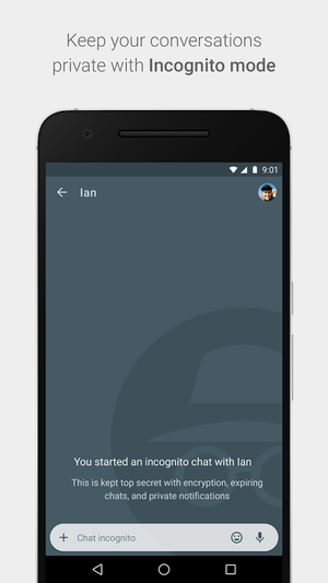 private i incognito mode allo