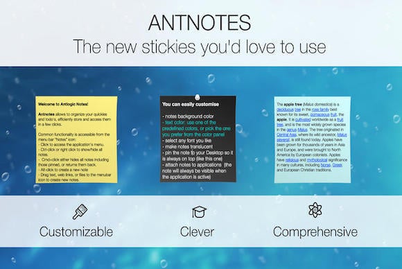 simplyantnotes