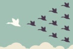 Apple Swift attracts a bunch of coding tools