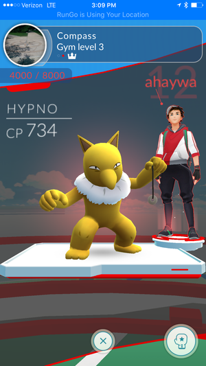 pokemon rungo gym