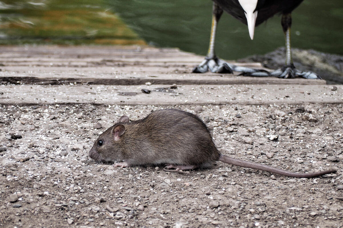 Gender equality? I smell a rat | CIO