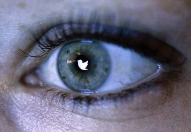 How to deal with the bot crisis on Twitter