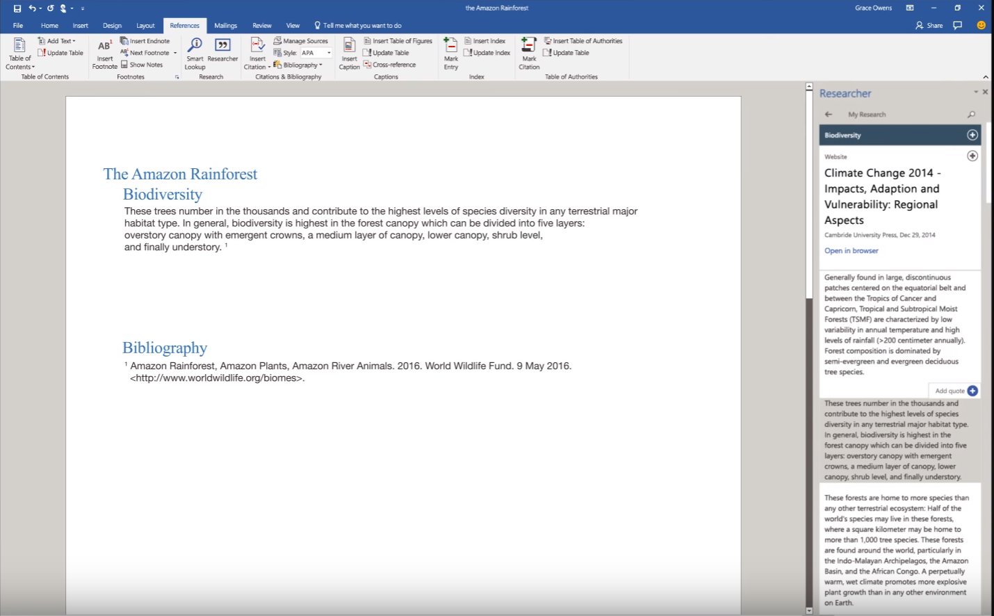 Microsoft word 2013 online editor