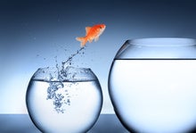 Rising from the coding ranks to become a CTO