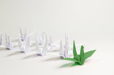 Flash with class: Why HPE continues to lead in flash storage