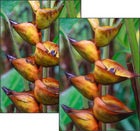 How to use Photoshop to turn a photo into a realistic painting