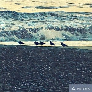 prisma hero