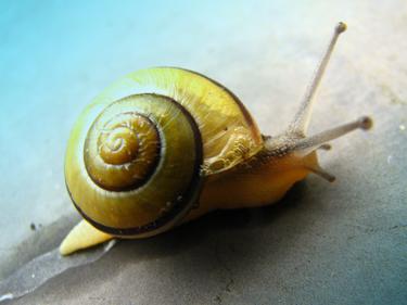 The hidden cause of slow Internet and how to fix it
