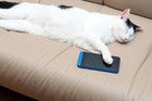 The List: 10 apps for ridiculously lazy people