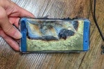 Samsung announces plan to refurbish and resell some Note7s that didn't explode