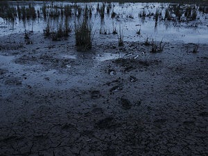 Navigating the muddy waters of enterprise infosec