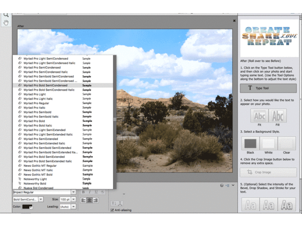 Adobe Photoshop Elements 6,0 Para Mac