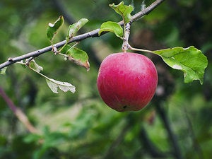 How to mitigate hackers who farm their victims