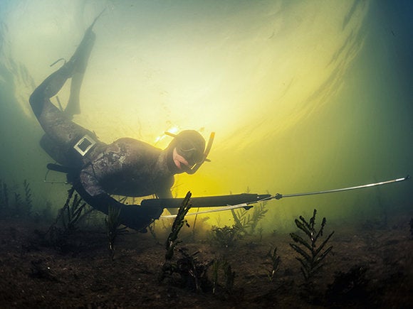 spearfishing
