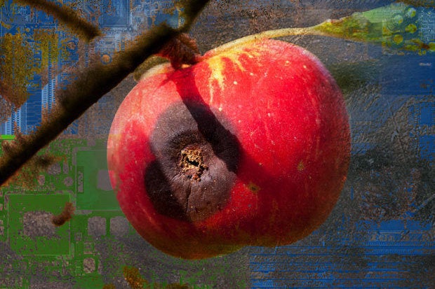 rotten old apple mac