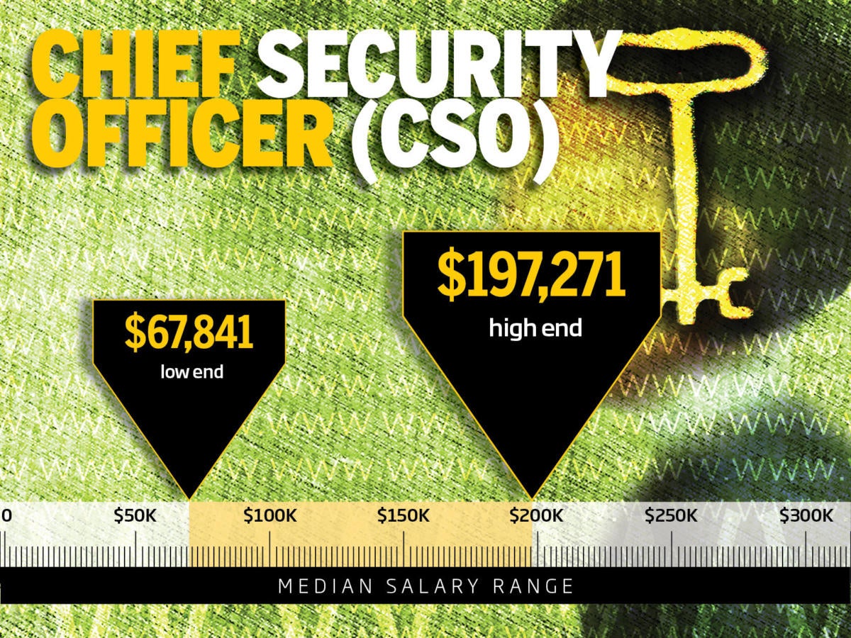 2. Chief security officer (CSO)