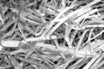 5 apps for encrypting and shredding files