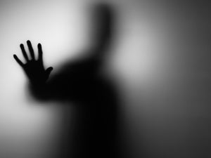 Mitigating the risks of the AI black box