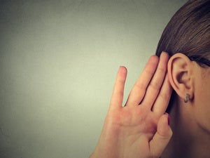 Google AudioSet aims to make sounds, from roars to boings, searchable