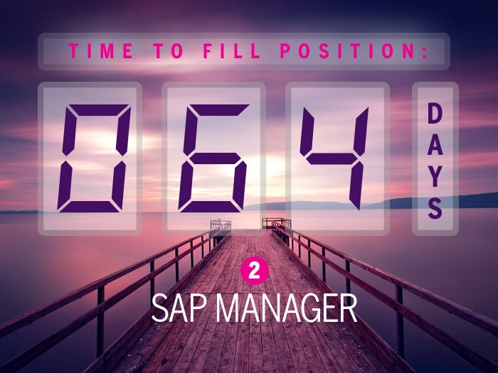 2. SAP manager