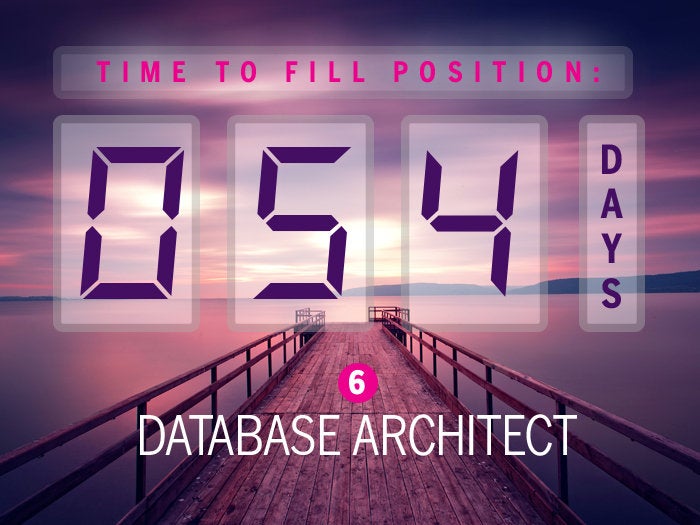 6. Database architect