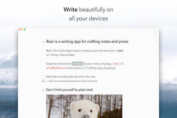 bear