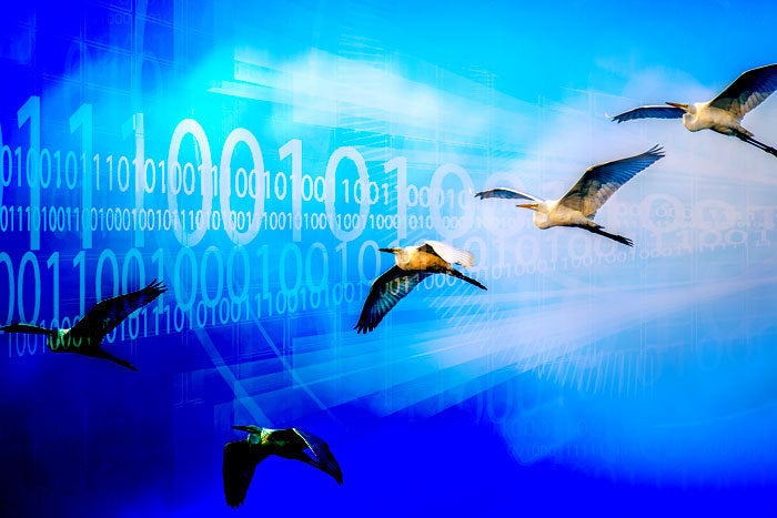 Cloud migration: The pros and cons of a common platform