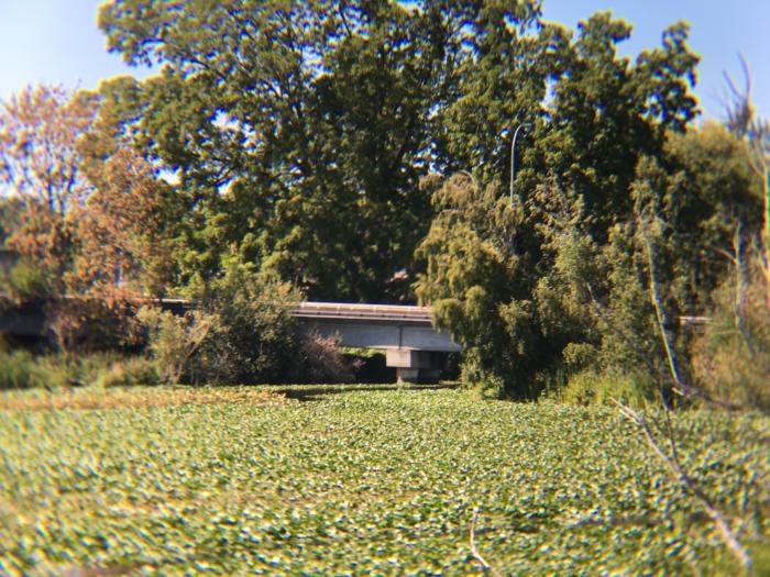 CamKix Camera Lens Kit sample shot