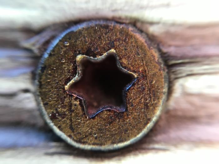 CamKix Universal 5 in 1 macro/wide-angle sample shot