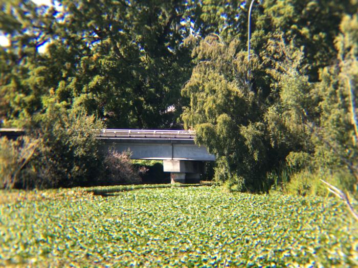 CamKix Universal Smart Phone Camera Lens sample shot