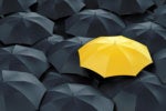NAIC Model Law passes