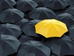 NAIC Model Law passes