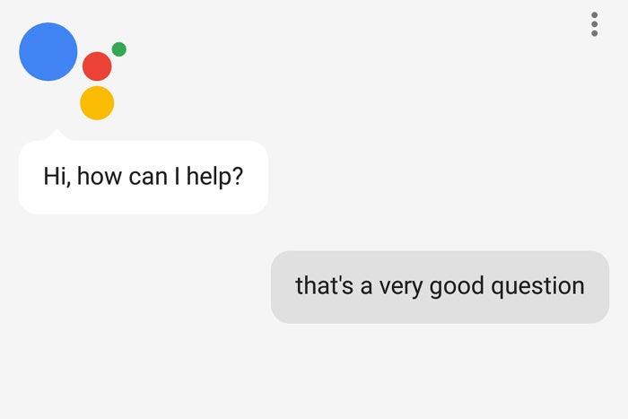 Google Assistant, Google Home