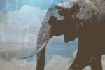 Lifting big data to the sky: Hadoop-as-a-Service is gaining rapid traction