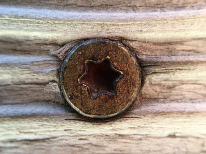 Olloclip 4-in-1 Lens macro sample
