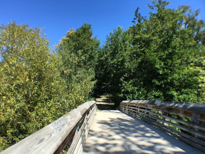 Olloclip 4-in-1 Lens wide-angle sample