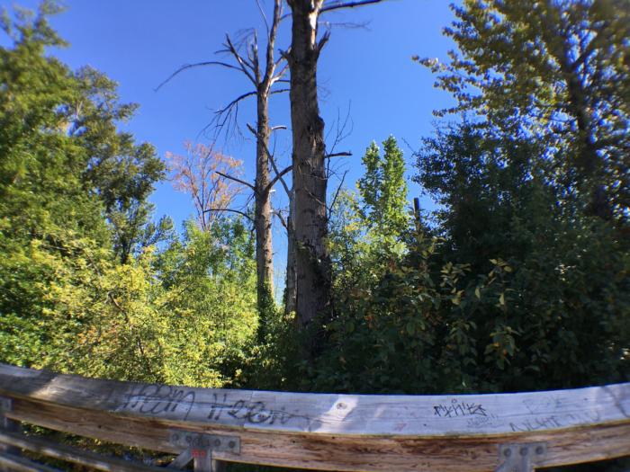 Olloclip 4-in-1 Lens wide-angle sample